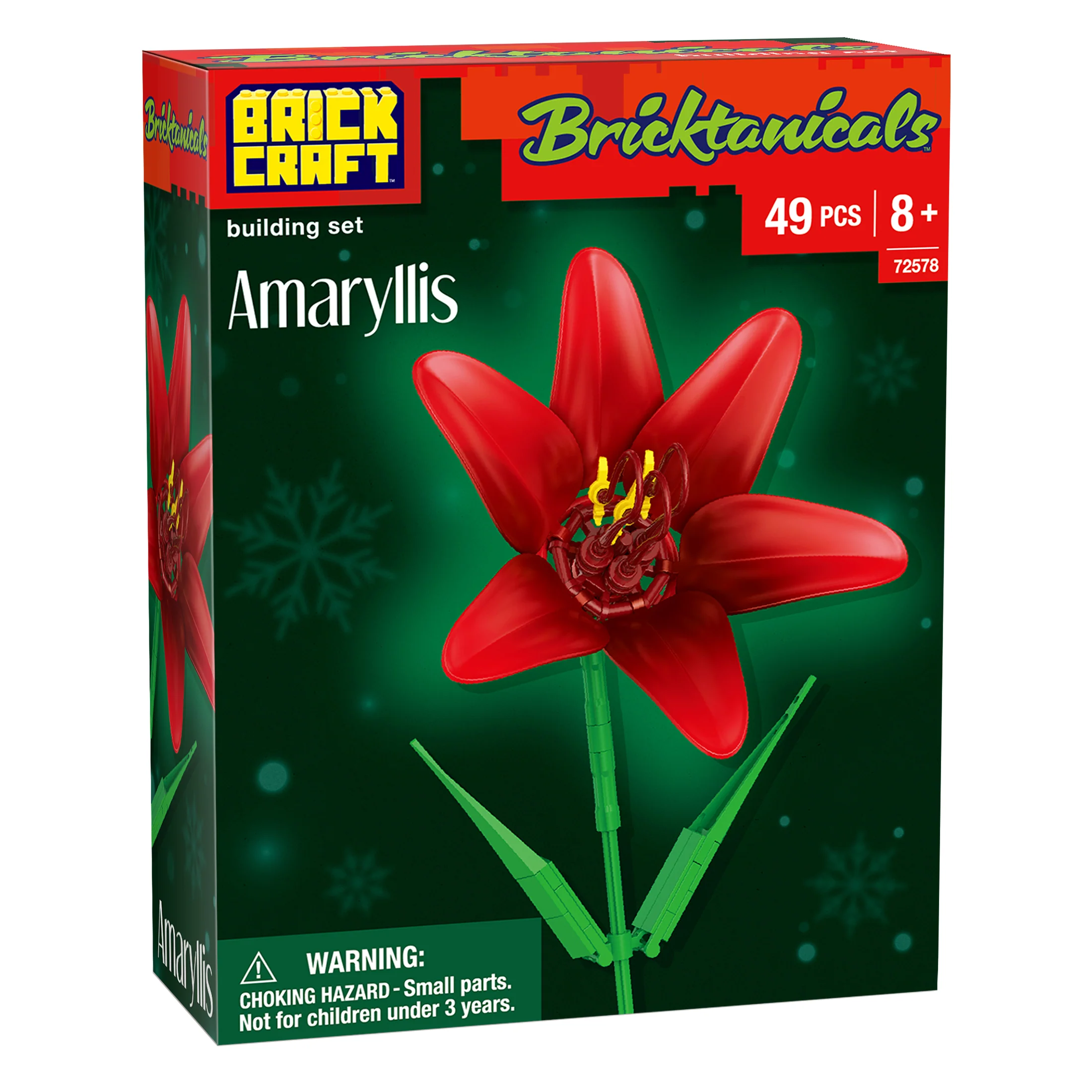 Amaryllis - Image 8