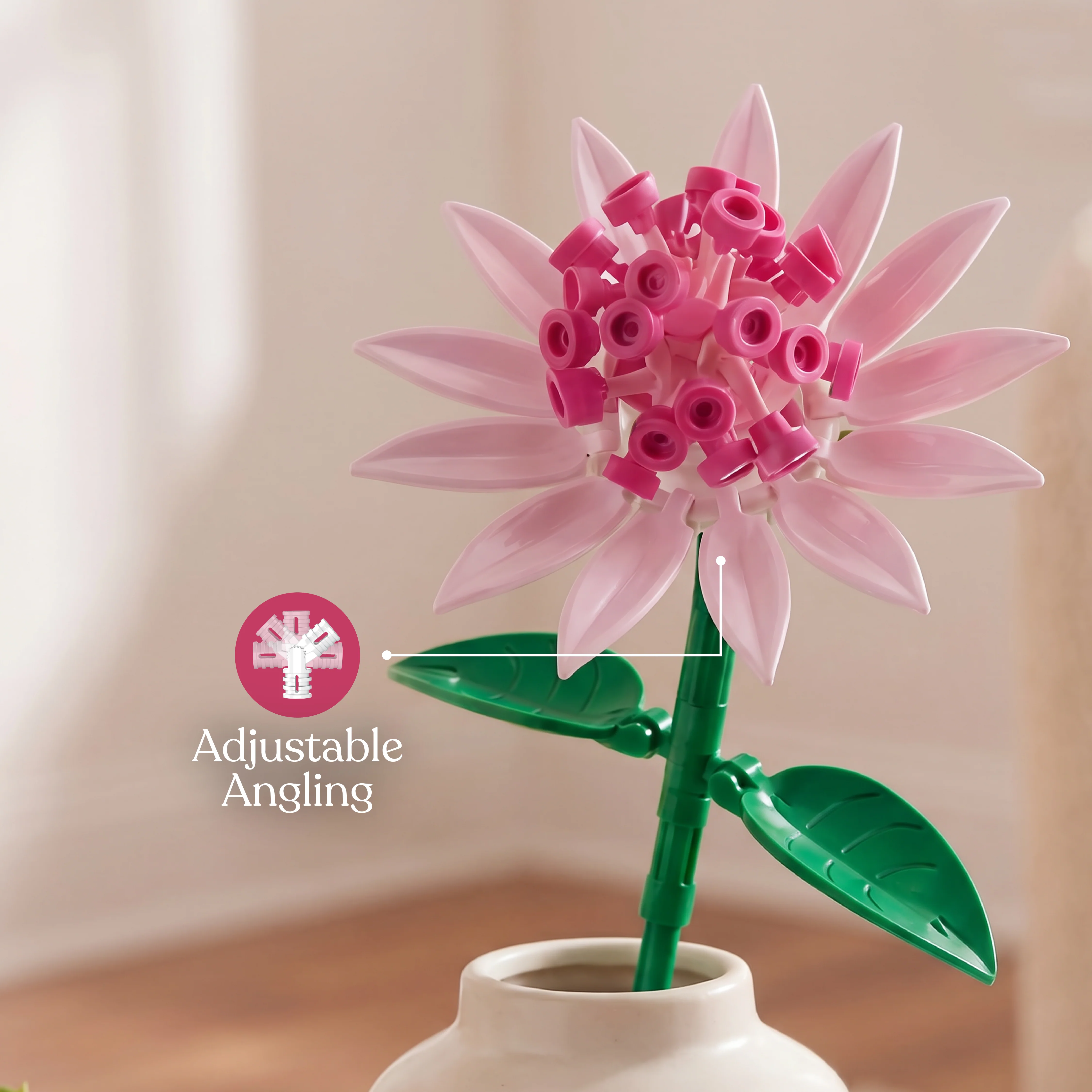 Astrantia - Image 5