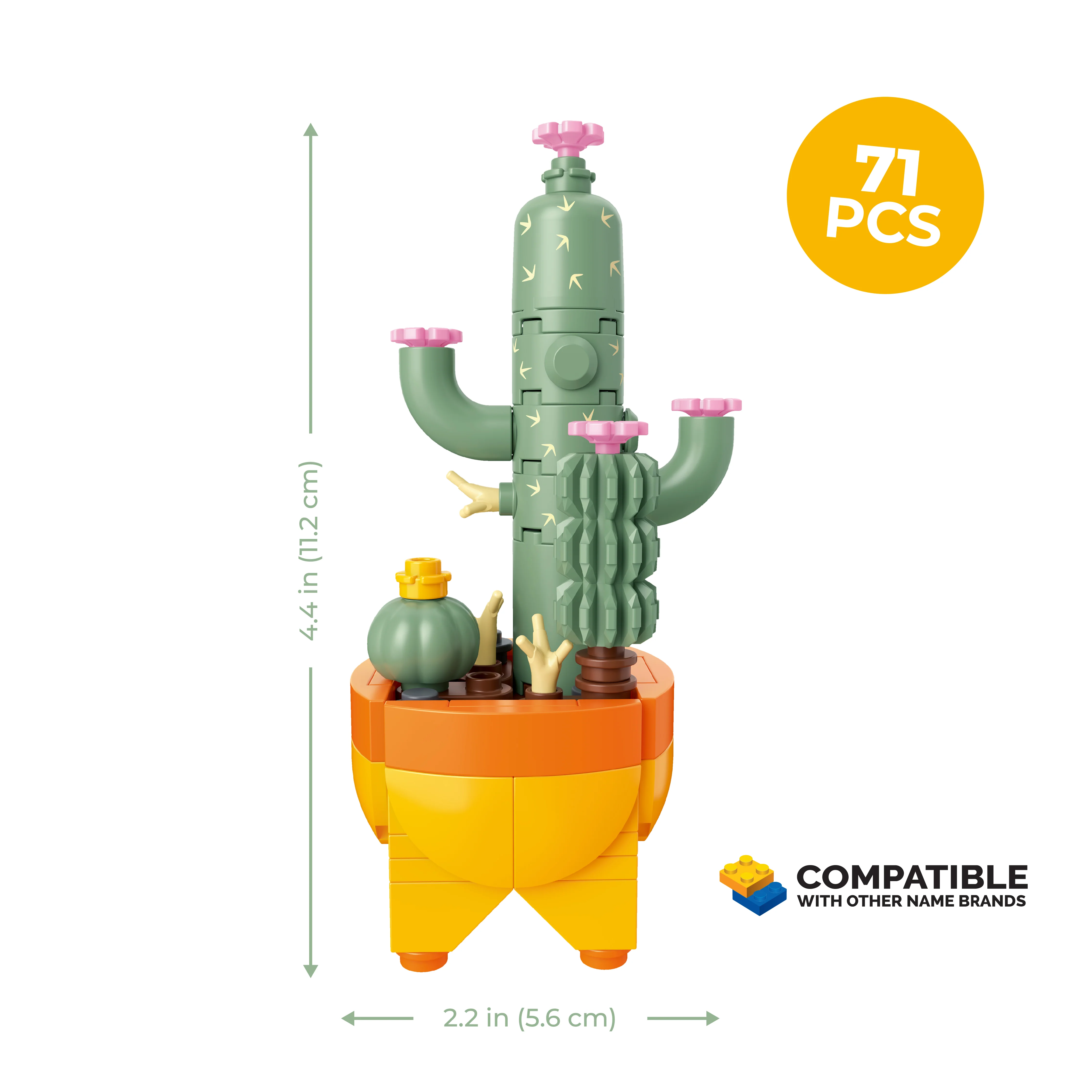 Cactus Garden - Image 4
