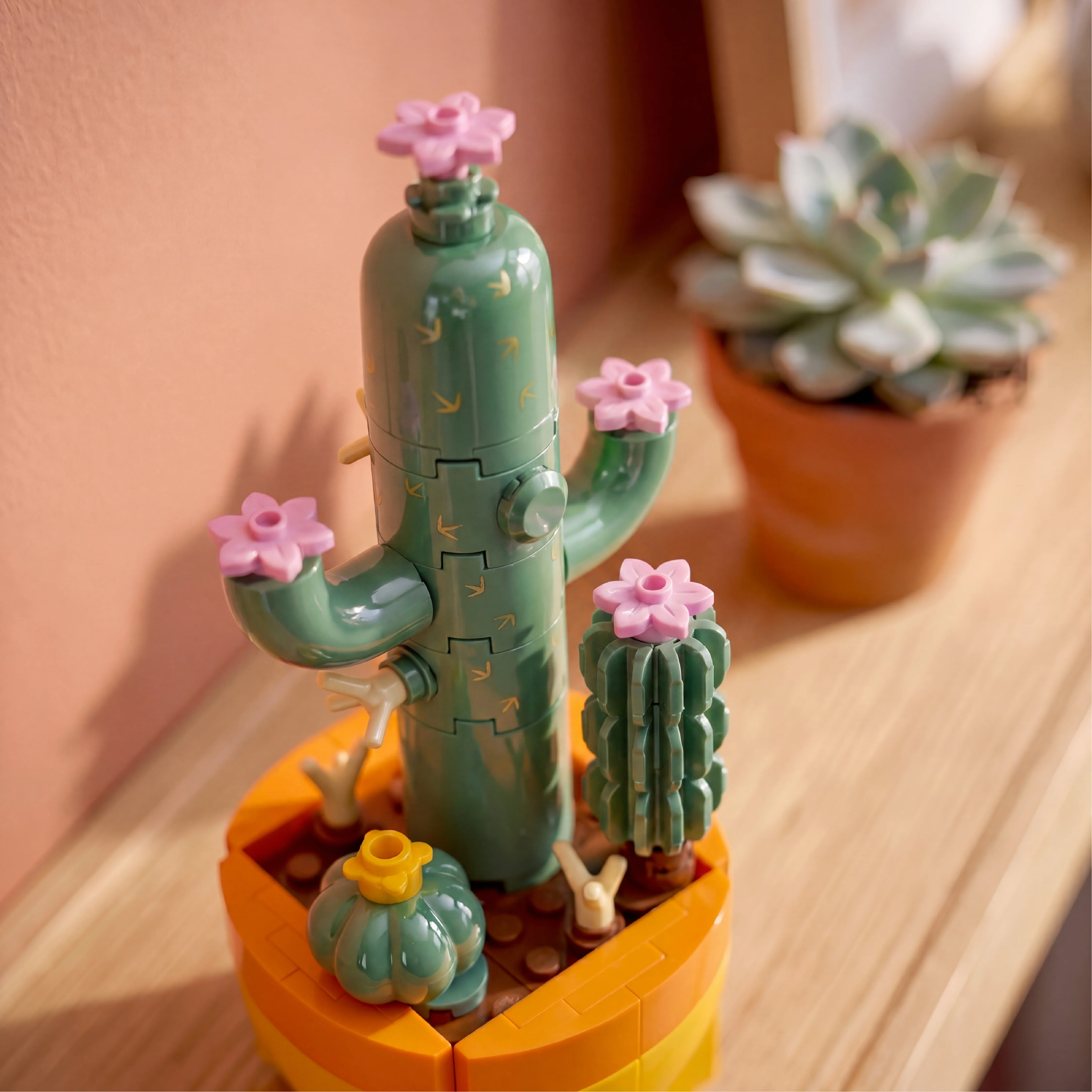 Cactus Garden - Image 6