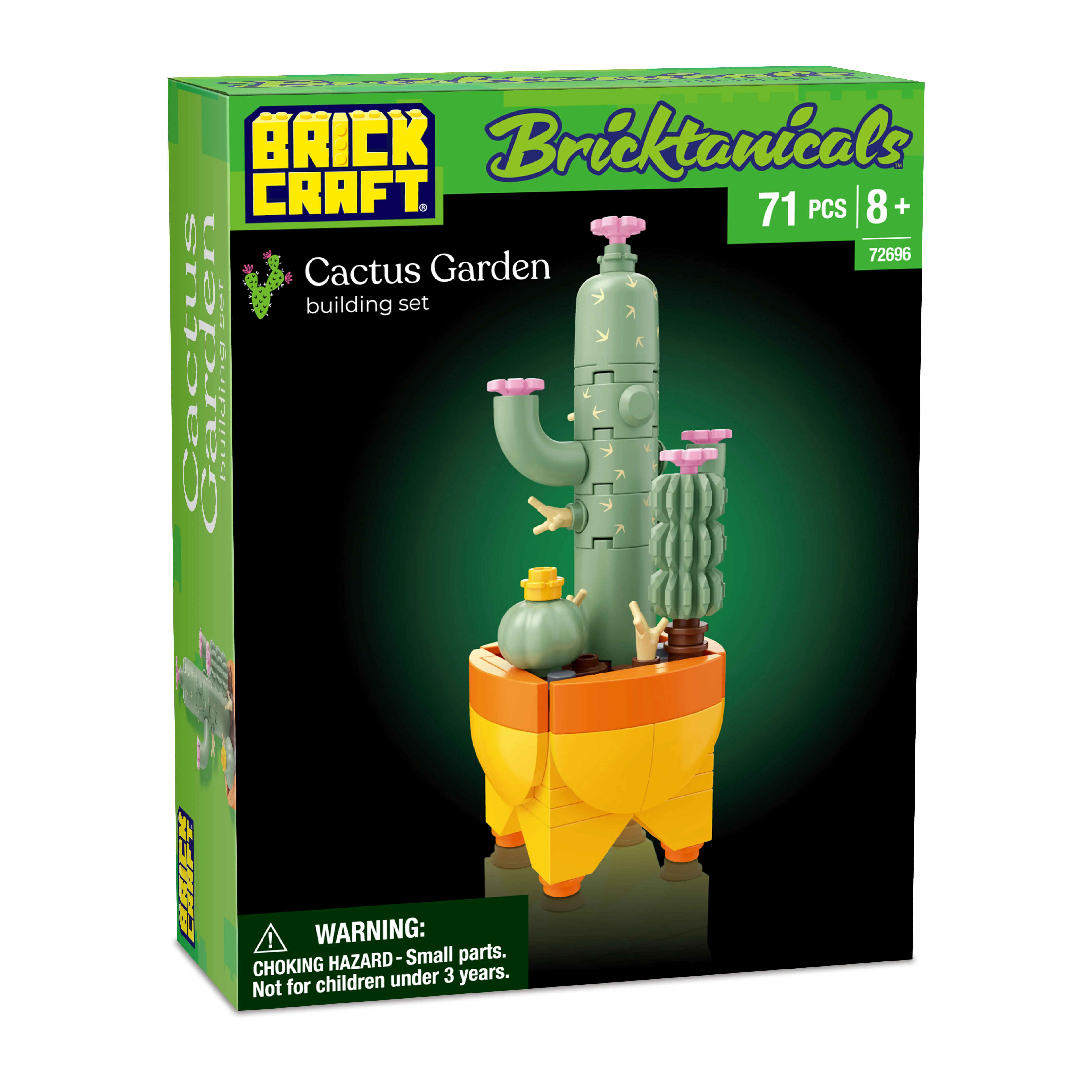 Cactus Garden - Image 7