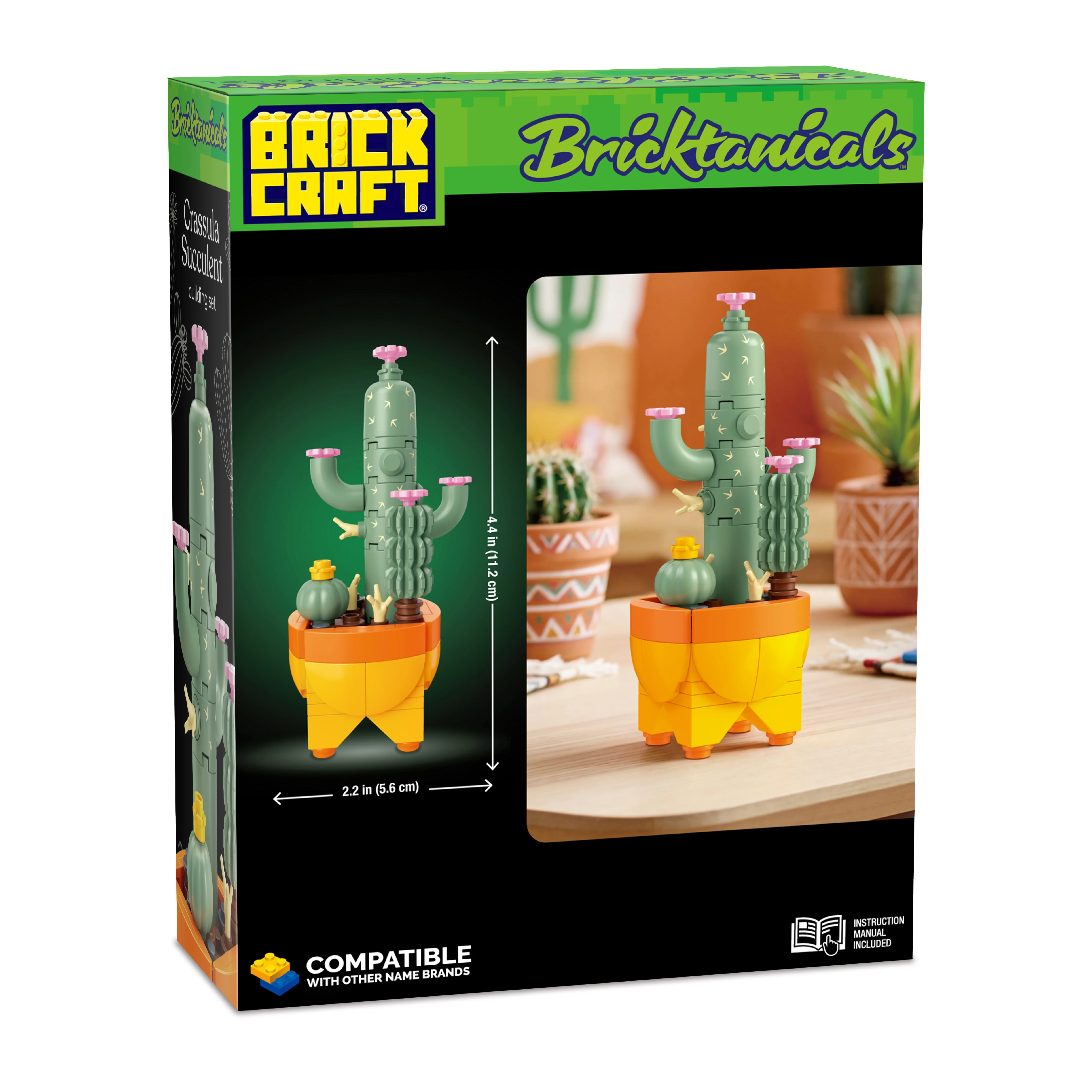Cactus Garden - Image 8