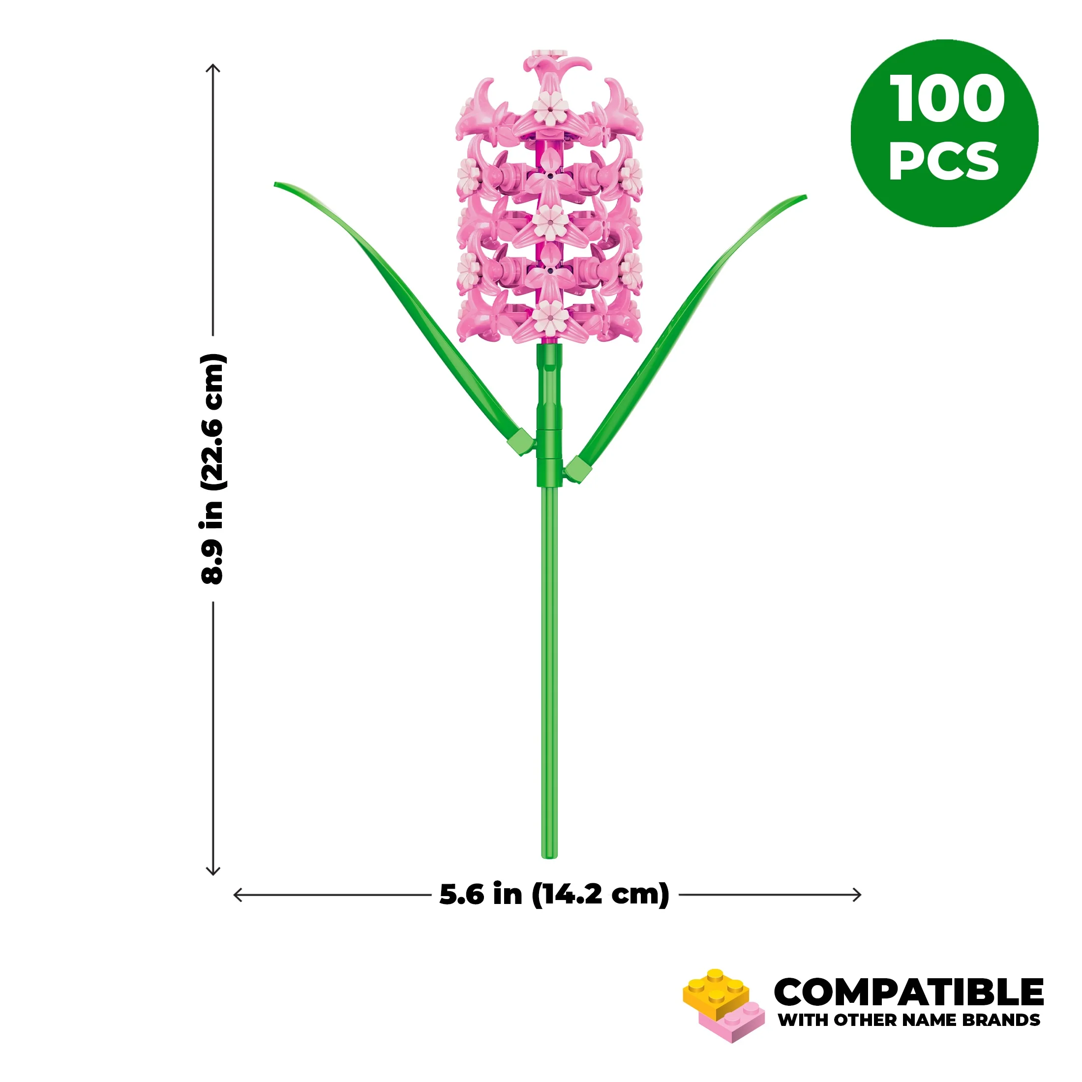 Hyacinth - Image 4