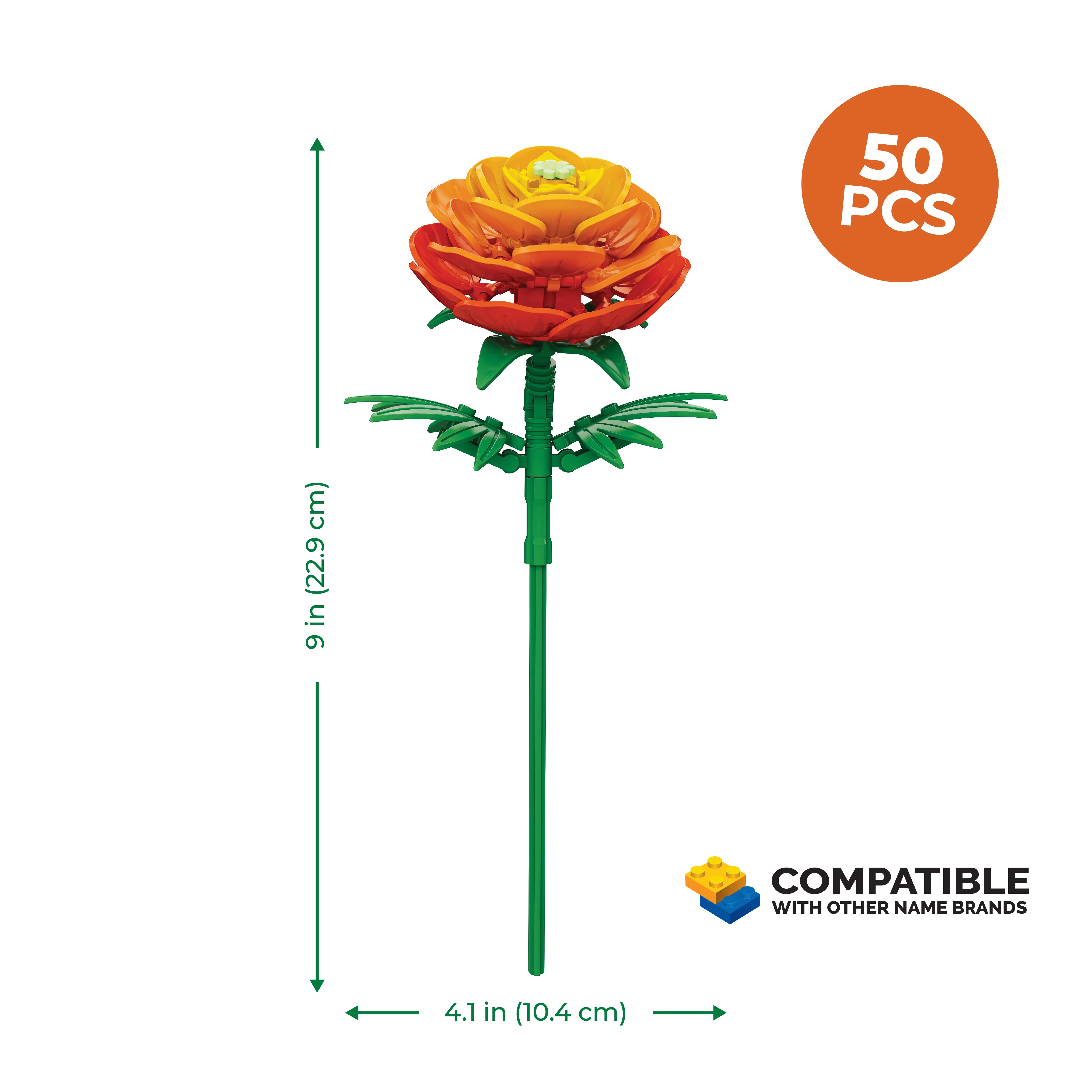 Ranunculus - Image 4