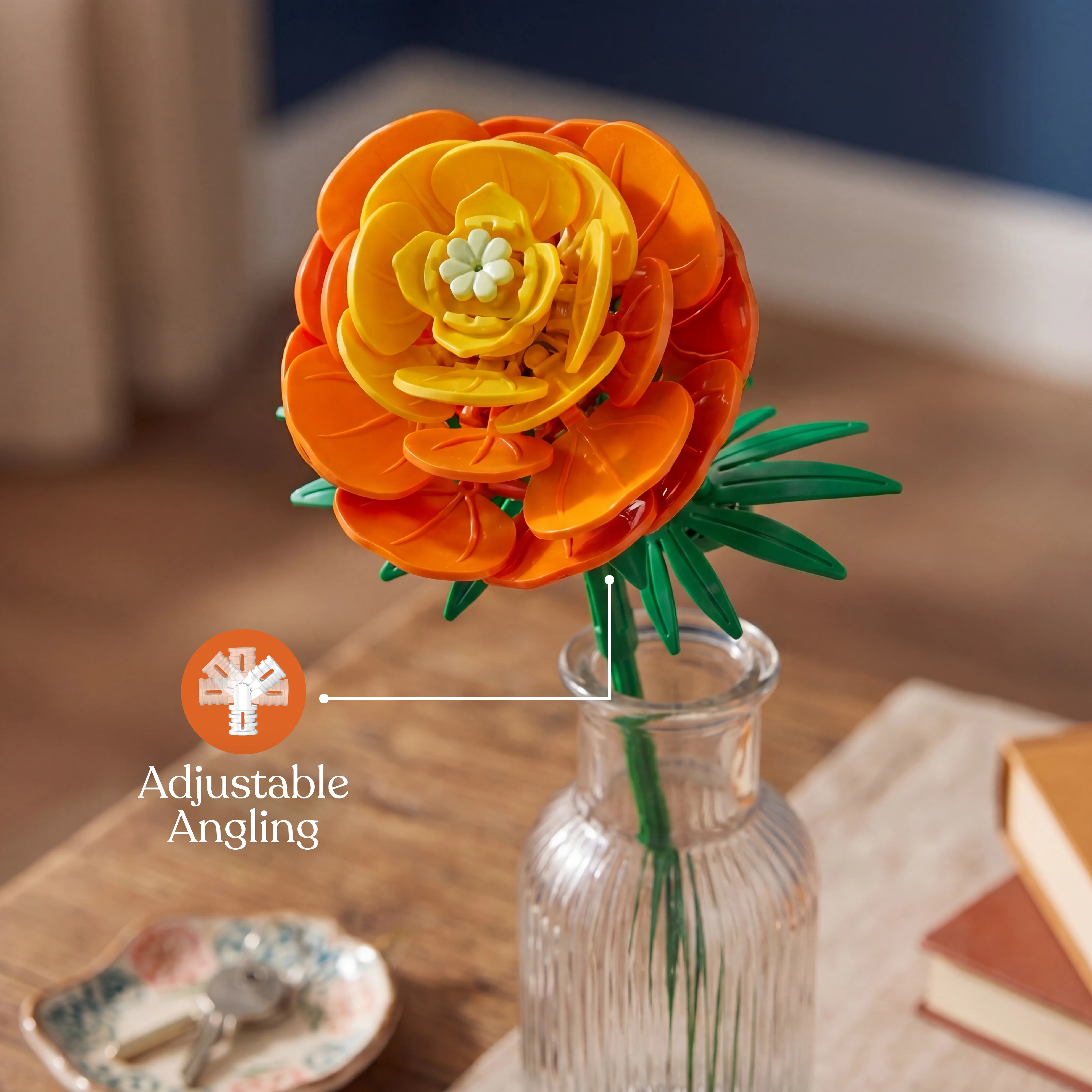 Ranunculus - Image 5
