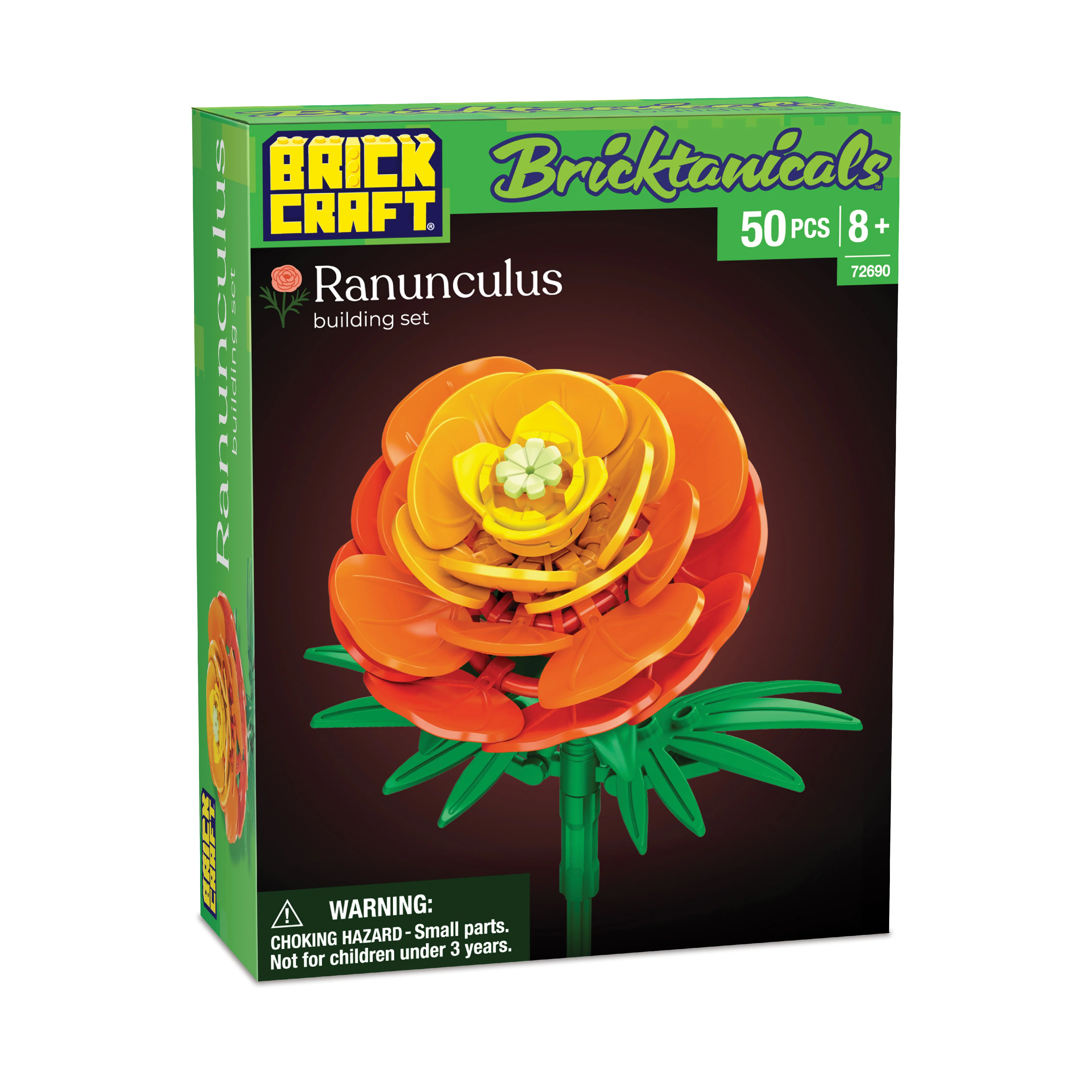 Ranunculus - Image 7