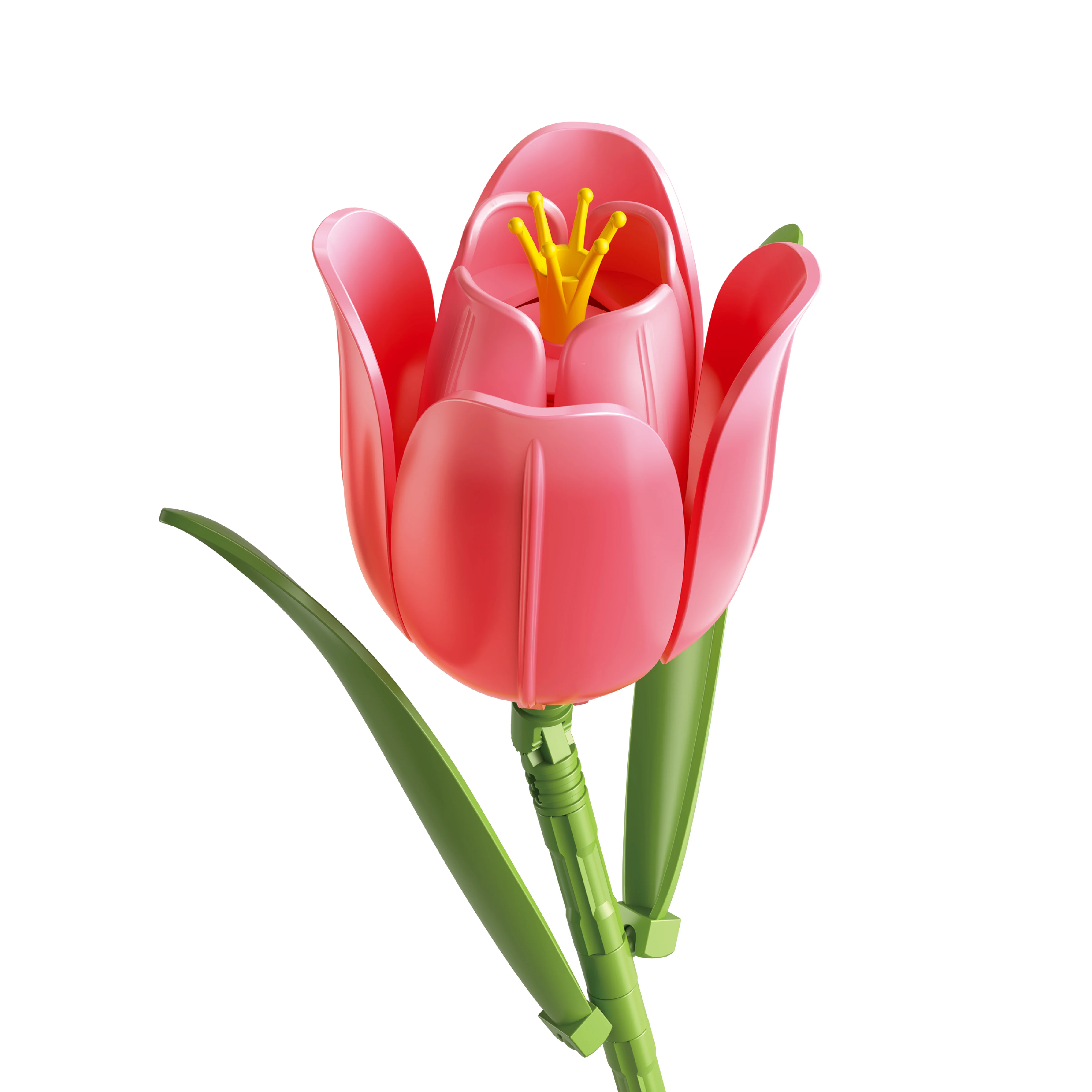 Tulip