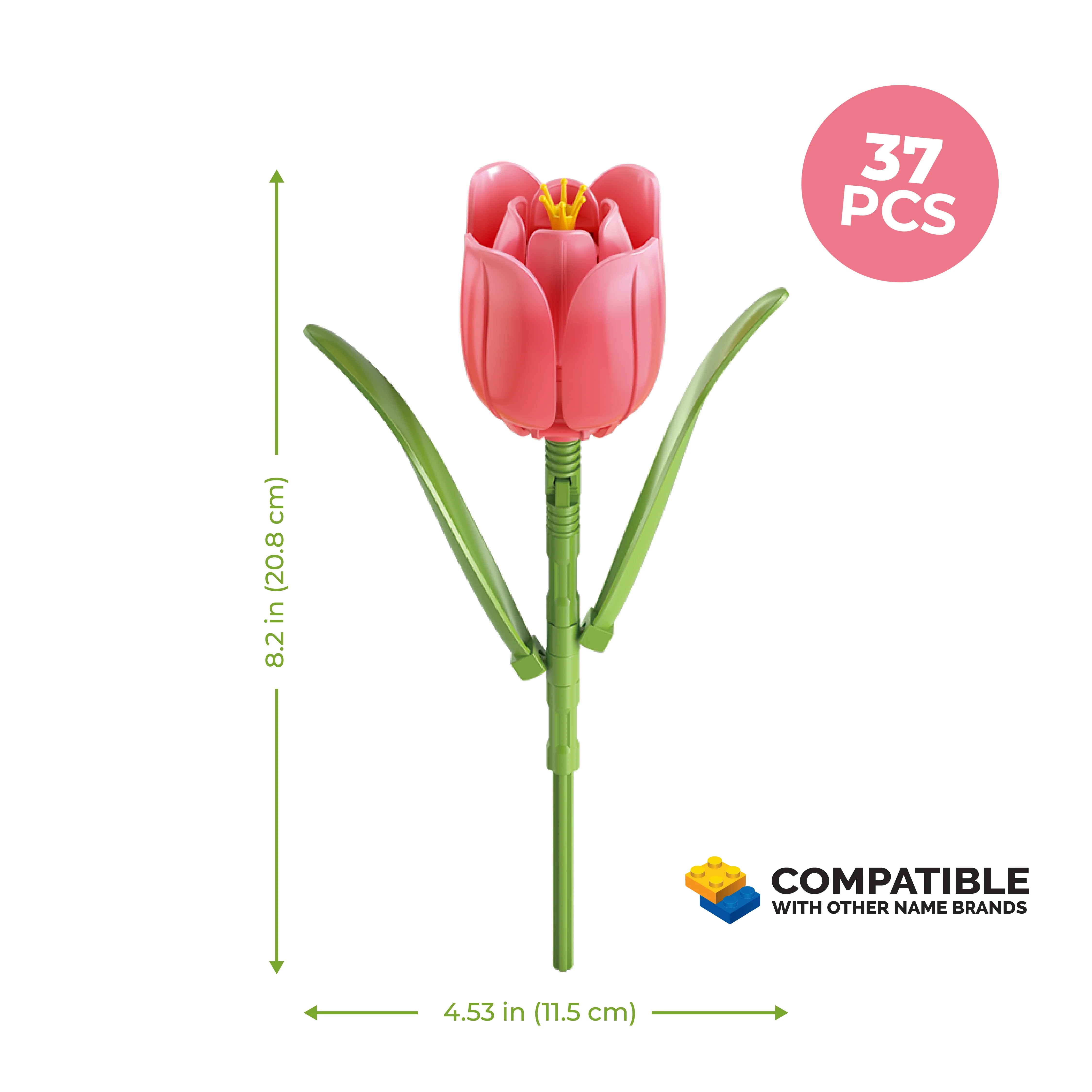 Tulip - Image 4