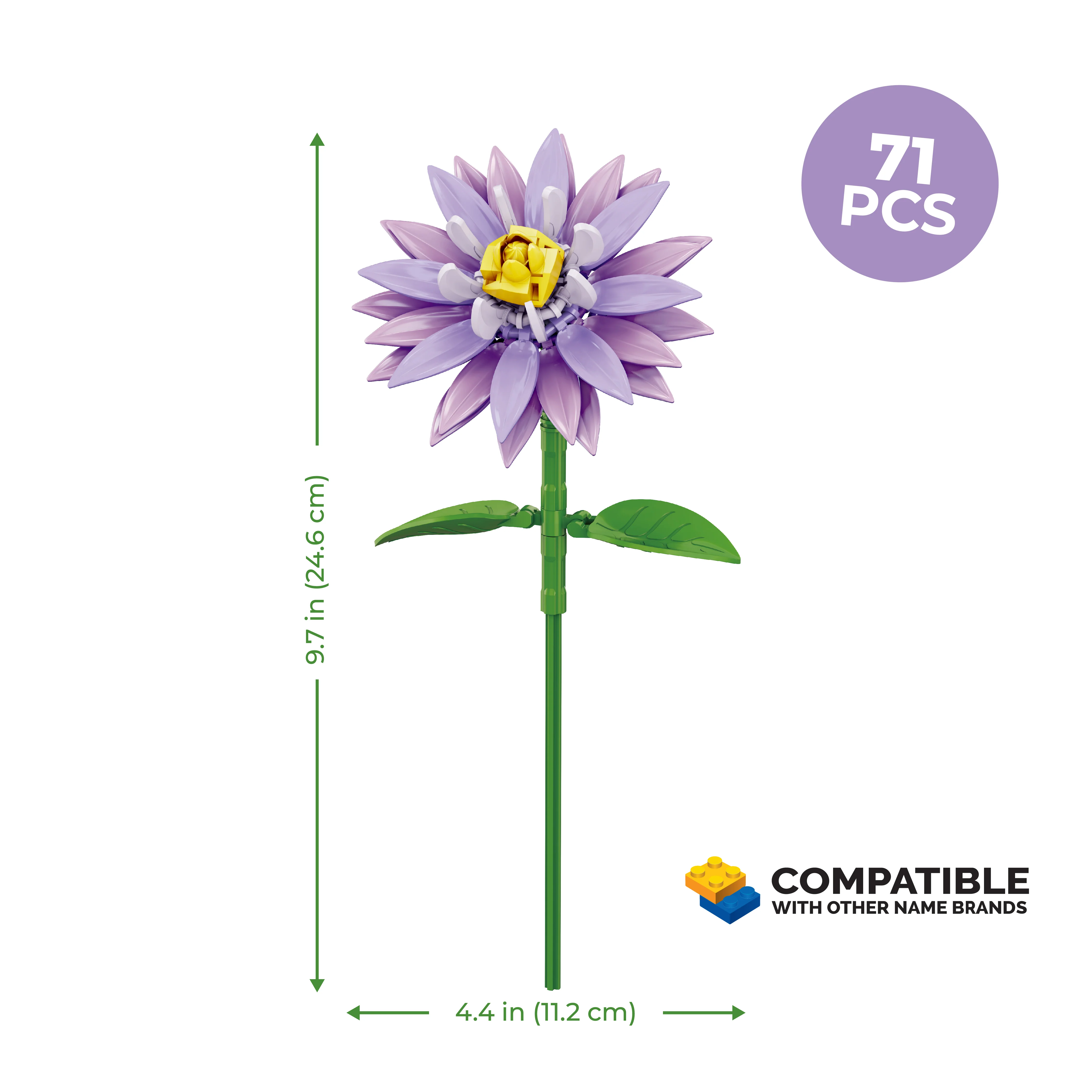 Water Lily - Image 4