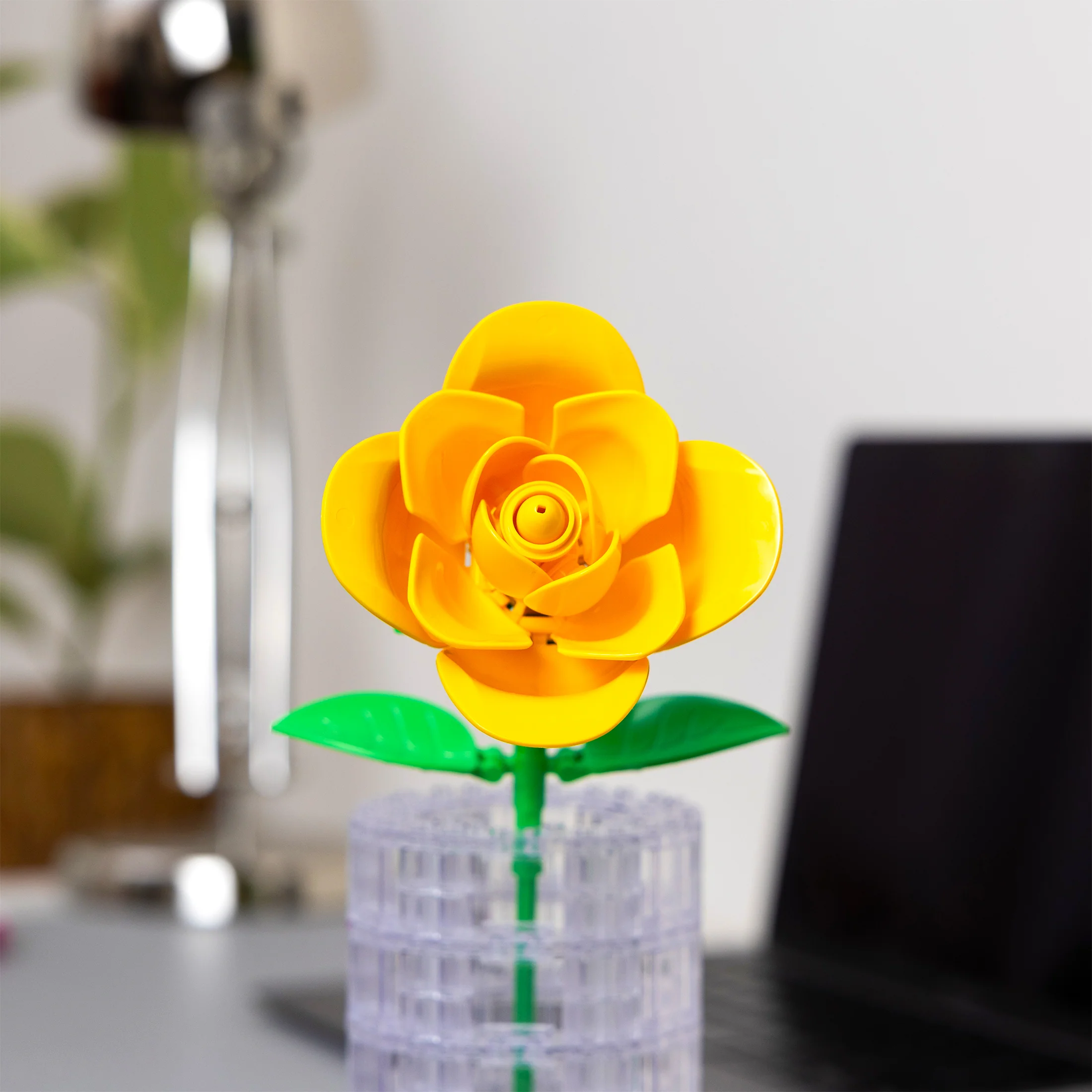 Yellow Rose - Image 5